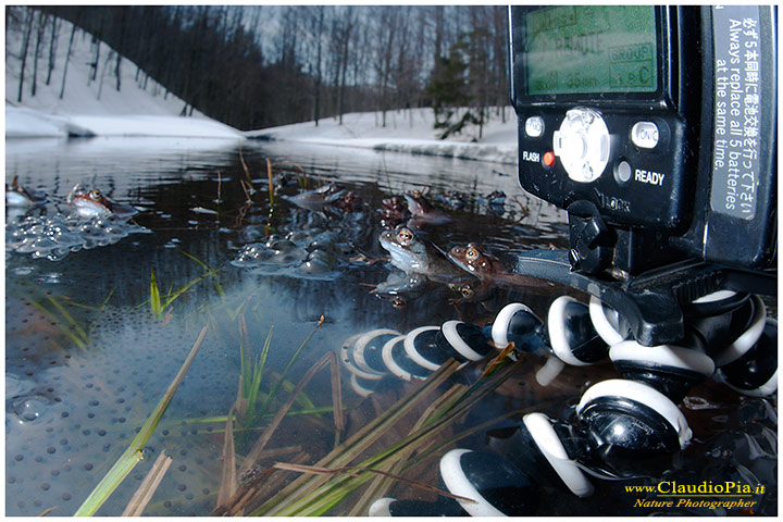 backstage settings claudio pia, fotografia naturalistica